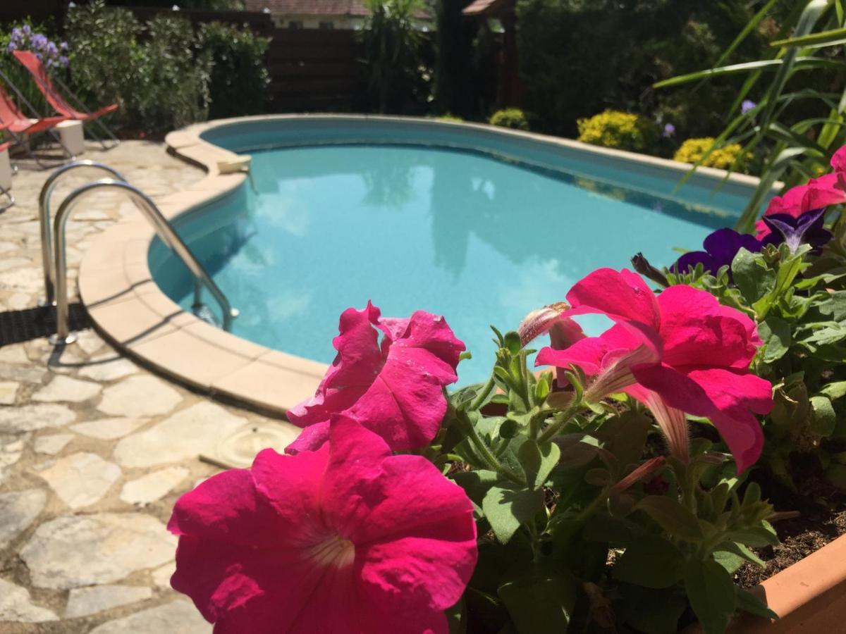 La Belle Demeure Proche Sarlat Bed & Breakfast Saint-Cybranet Luaran gambar